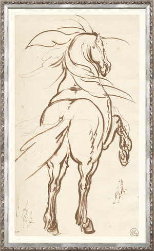 Collection 01 – Study Of A Rearing Horse – 1616 by Celadon, ink sketch of a horse rearing.