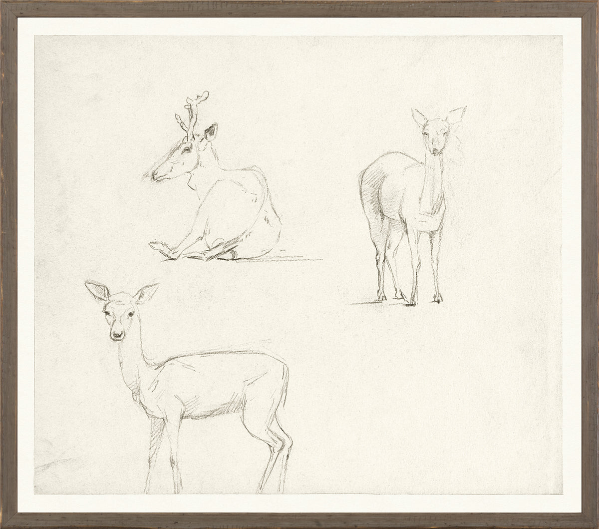 Collection 07 – Church – Three Deer Sketch – 1850, featuring three deer sketches in pencil on textured paper.