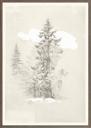 Collection 07 – Church – Tree Drawing – 1868, detailed pencil drawing of trees on light background.