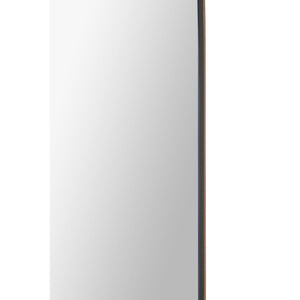 Aldrin mirror showcasing a sleek design with a black frame and clear glass.