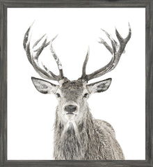 22 × 24 po – Encadré en verre, cadre gris