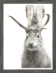43 × 56 cm – Cadre Gris