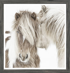 50,8 × 53,3 cm – Encadré sous verre, cadre gris