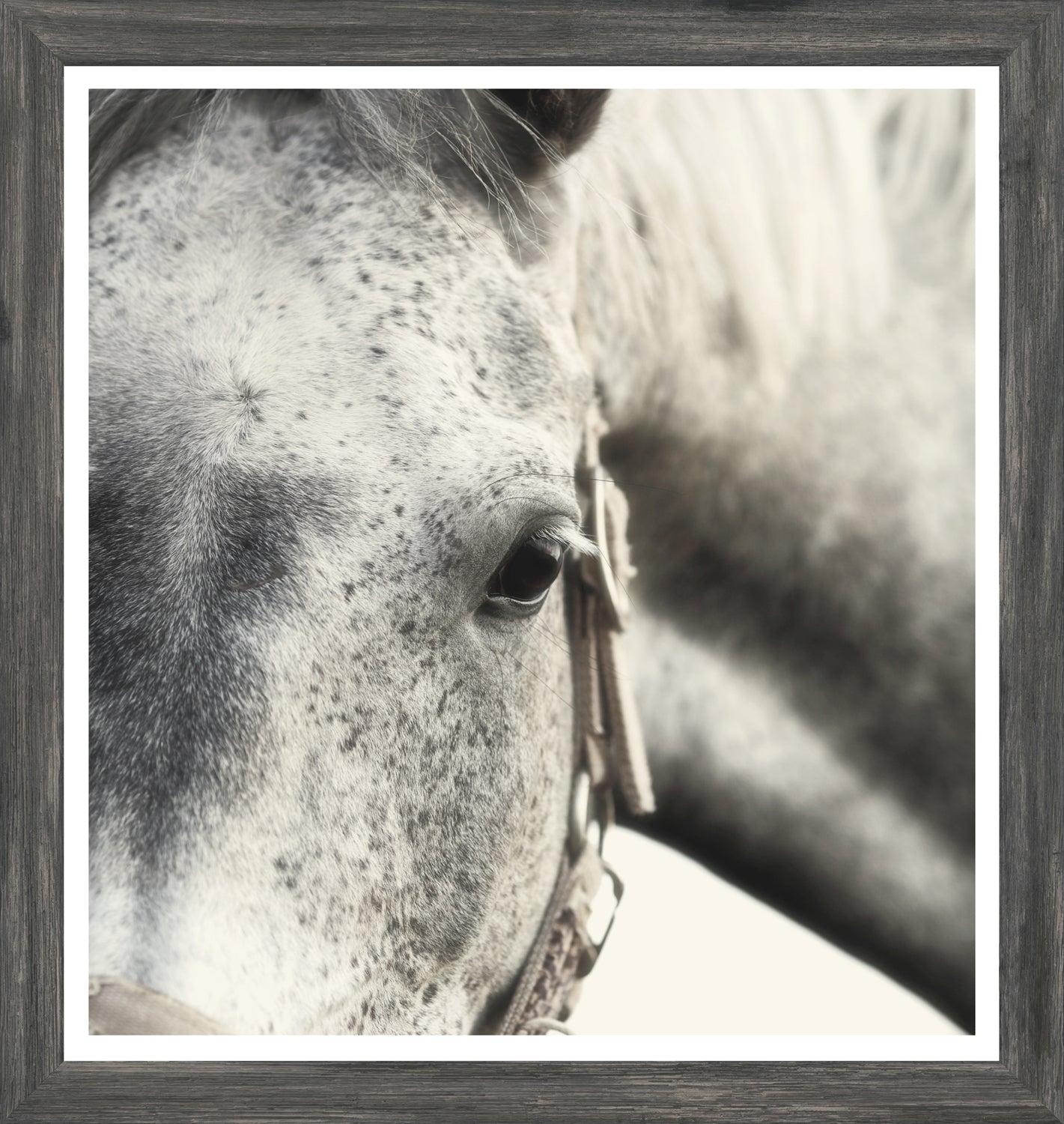 Dappled Grey — nature and landscape fine art print in neutral tones at Laurie Yapp Home