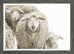 22 × 16 po – Cadre Gris