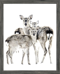 18 × 22 po – Cadre gris