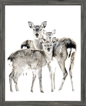 Maternal Vigil wall art with three deer, framed in a dark gray border