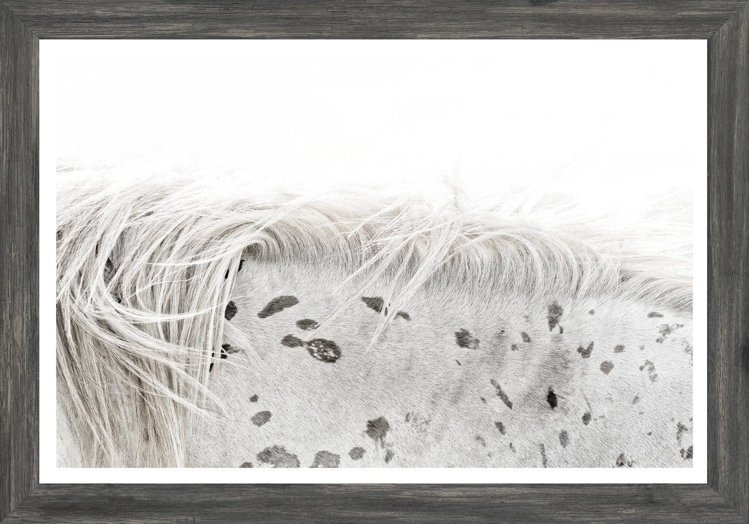 Appaloosa — nature and landscape fine art print shown from another angle