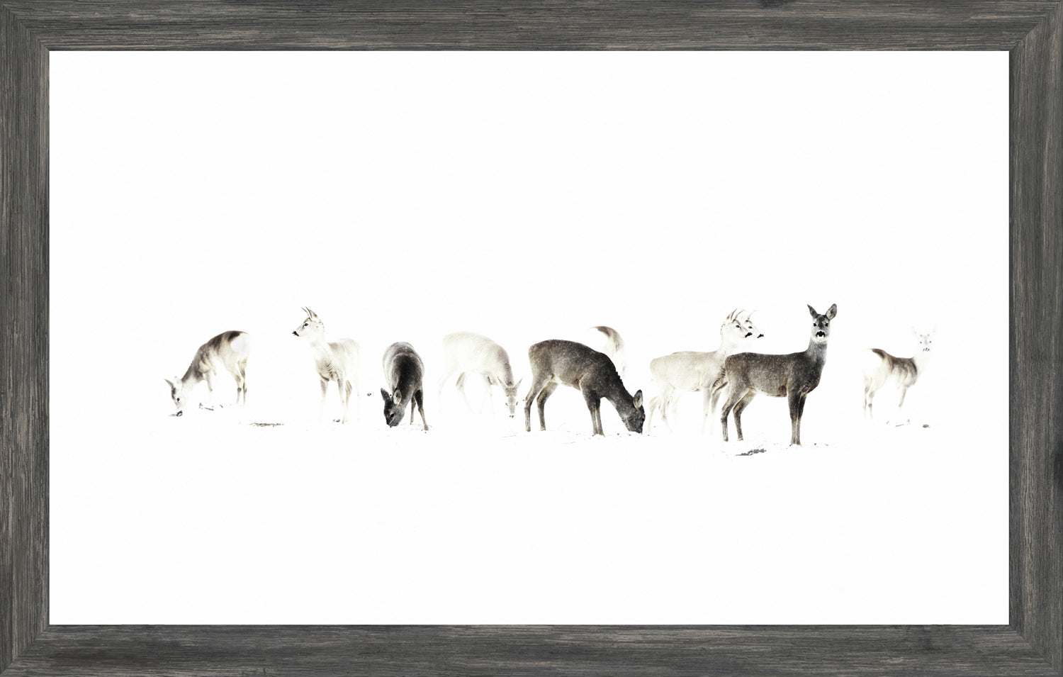 The Gathering — nature and landscape fine art print shown from another angle