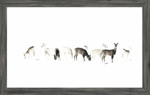 The Gathering — nature and landscape fine art print shown from another angle
