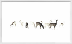The Gathering — nature and landscape fine art print shown from another angle
