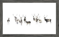 22 × 14 po – Cadre gris