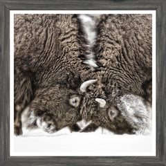 18 × 18 po – Cadre Gris