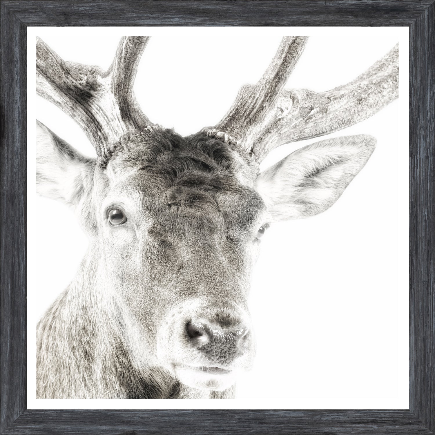 Celtic Myth — nature and landscape fine art print shown from another angle