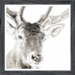 18 × 18 po – Sous verre, Cadre gris