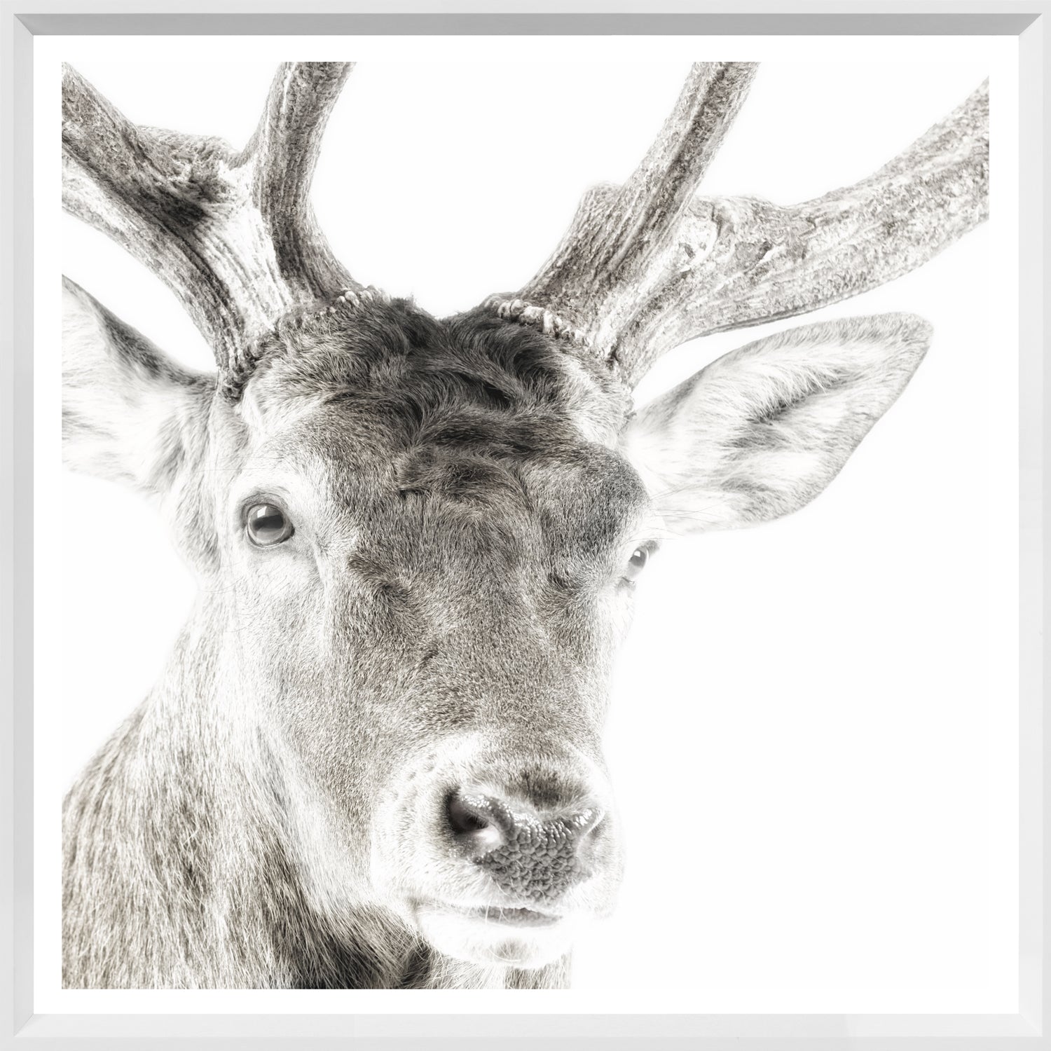 Celtic Myth — nature and landscape fine art print shown from another angle