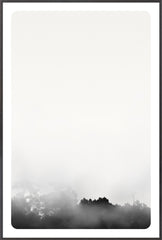 37 × 55 po