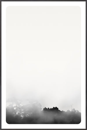 Genesis I wall art featuring a foggy landscape with dark silhouettes of trees against a white background.