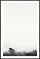 37 × 55 po