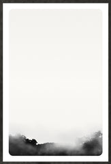 37 × 55 po