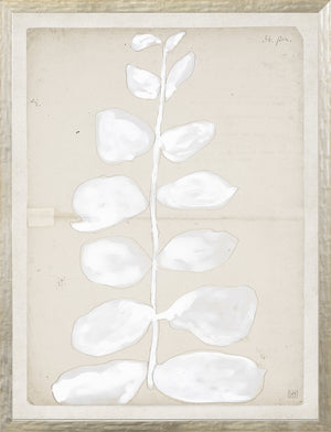 Restoration Paper XII wall art featuring a white leaf illustration on a beige background