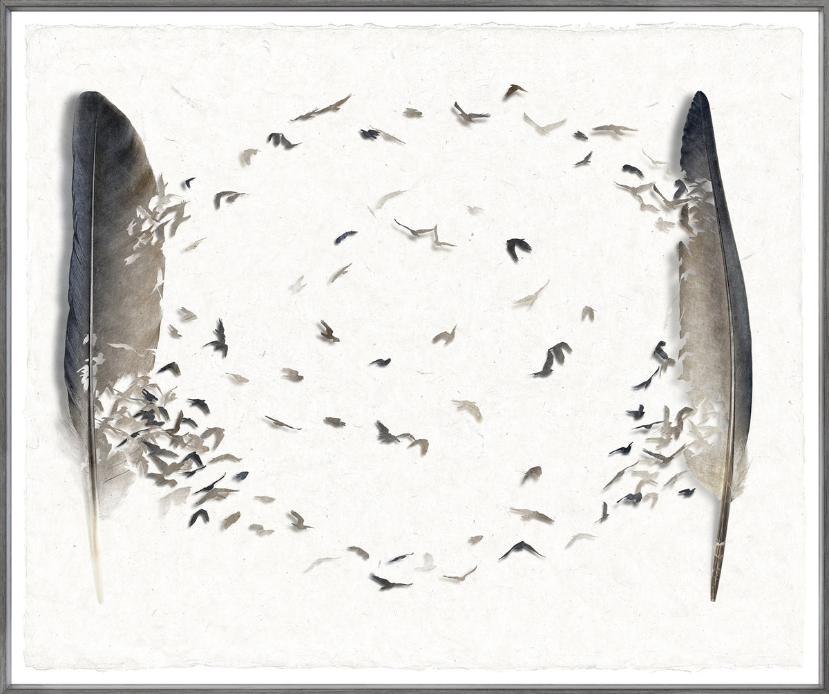 Aerial Circuit wall art featuring feathers and birds in a circular pattern on textured paper.