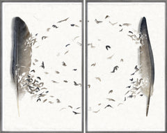 37 × 46,5 po