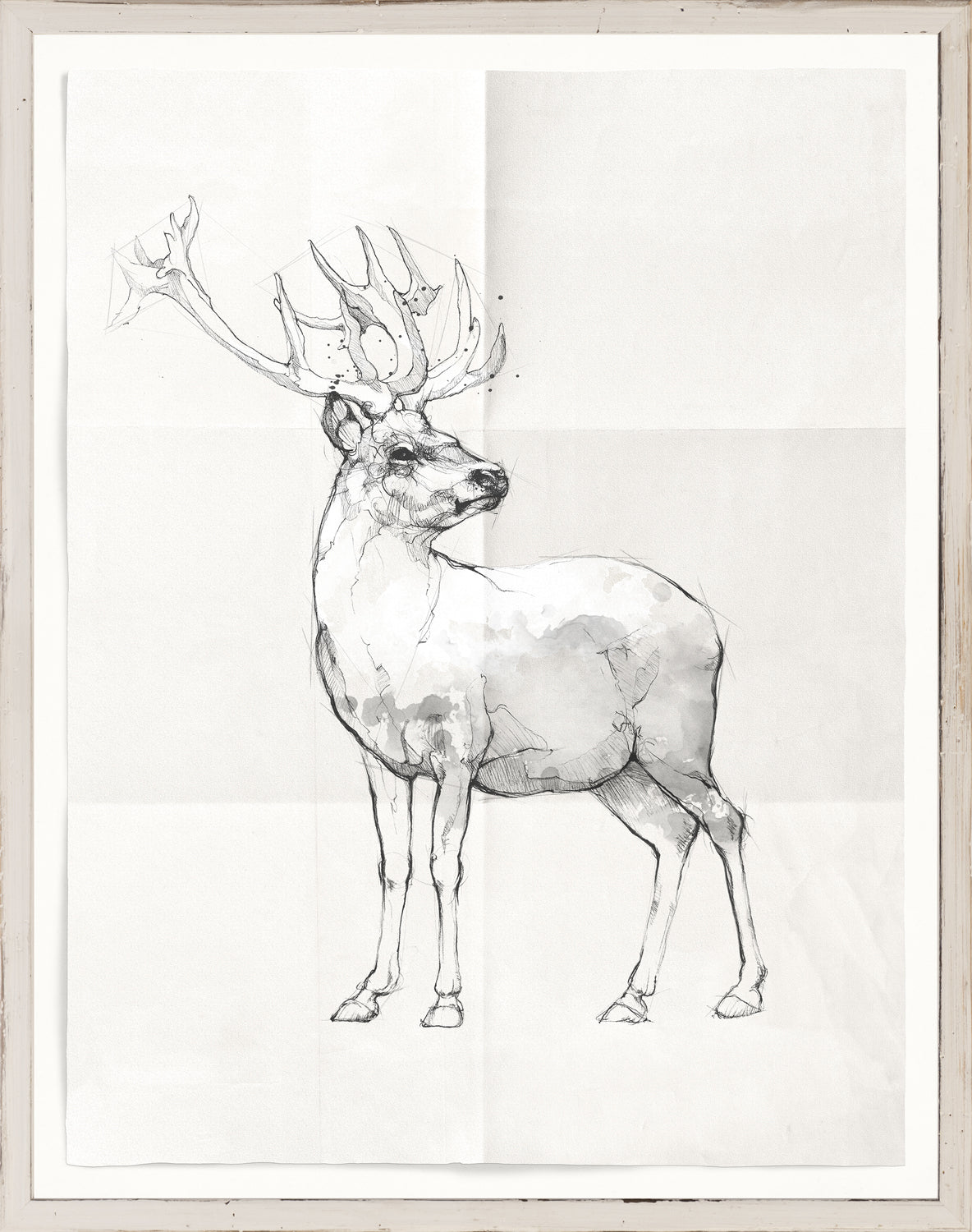 Cottage Wildlife Sketches Trio Bundle