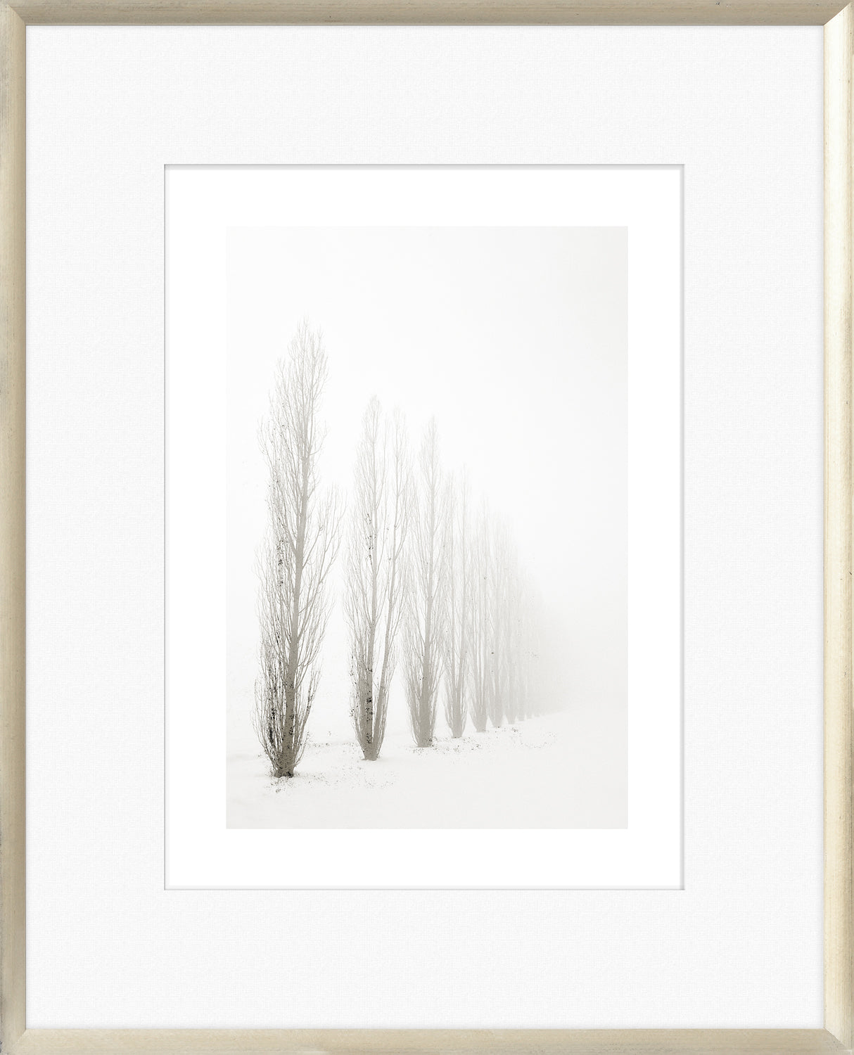Taupe Aspect I wall art featuring tall, slender trees in a foggy landscape.