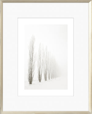 Taupe Aspect I wall art featuring tall, slender trees in a foggy landscape.