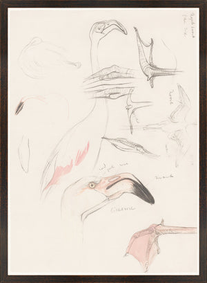Collection 17 – Flamingo Study wall art