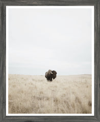 45,7 × 55,9 cm – Cadre Gris