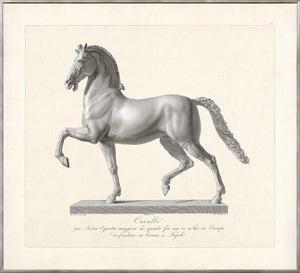 Cavallo Etching 1812 Ii framed art print