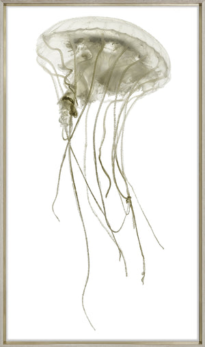 Pacifica Jelly I — still life fine art print in neutral tones at Laurie Yapp Home