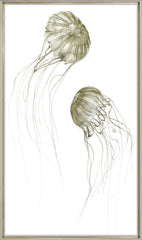 27 × 45 po – Cadre en verre