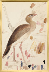 17,25 × 25,25 pouces