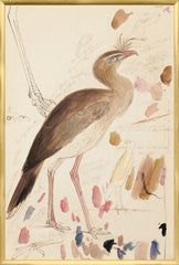 25,25 × 37,25 po