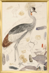 17,25 × 25,25 pouces
