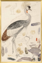 25,25 × 37,25 po