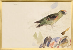 25,25 × 17,25 po