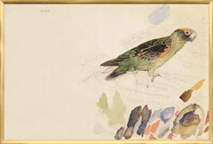 37,25 × 25,25 po