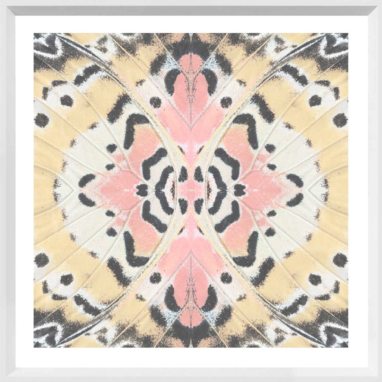 Wing Detail II wall art featuring a butterfly wing pattern in pink, yellow, and black tones.
