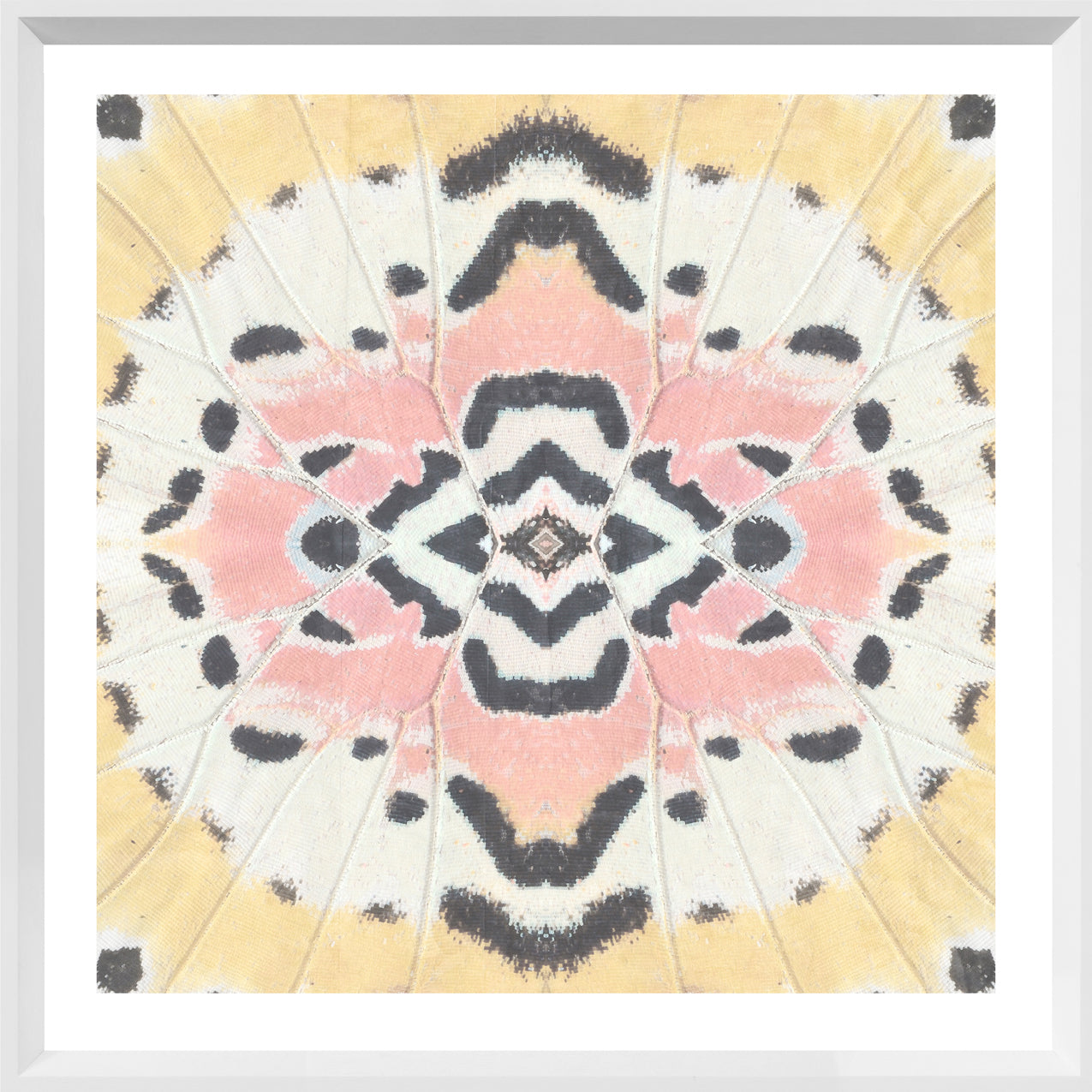 Wing Detail III wall art featuring a butterfly wing pattern in pastel colors, framed in white.