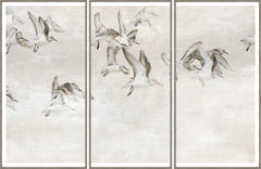 66 × 43 po