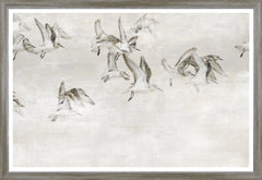 49,25 × 33,25 po