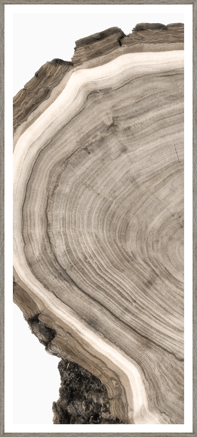 Live Edge — nature and landscape fine art print in neutral tones at Laurie Yapp Home