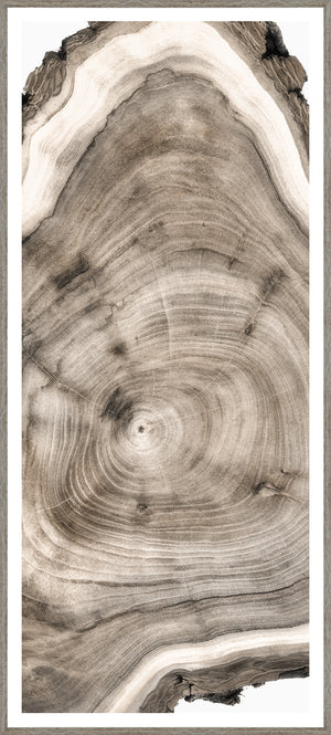 Live Edge — nature and landscape fine art print shown from another angle