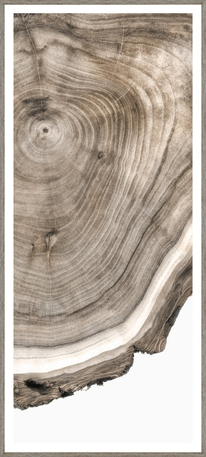 Live Edge — nature and landscape fine art print shown from another angle