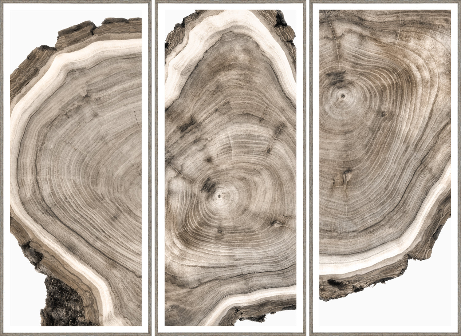 Live Edge wall art featuring three panels of natural wood grain in neutral tones