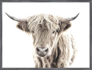 Highland Cow — nature and landscape fine art print shown from another angle
